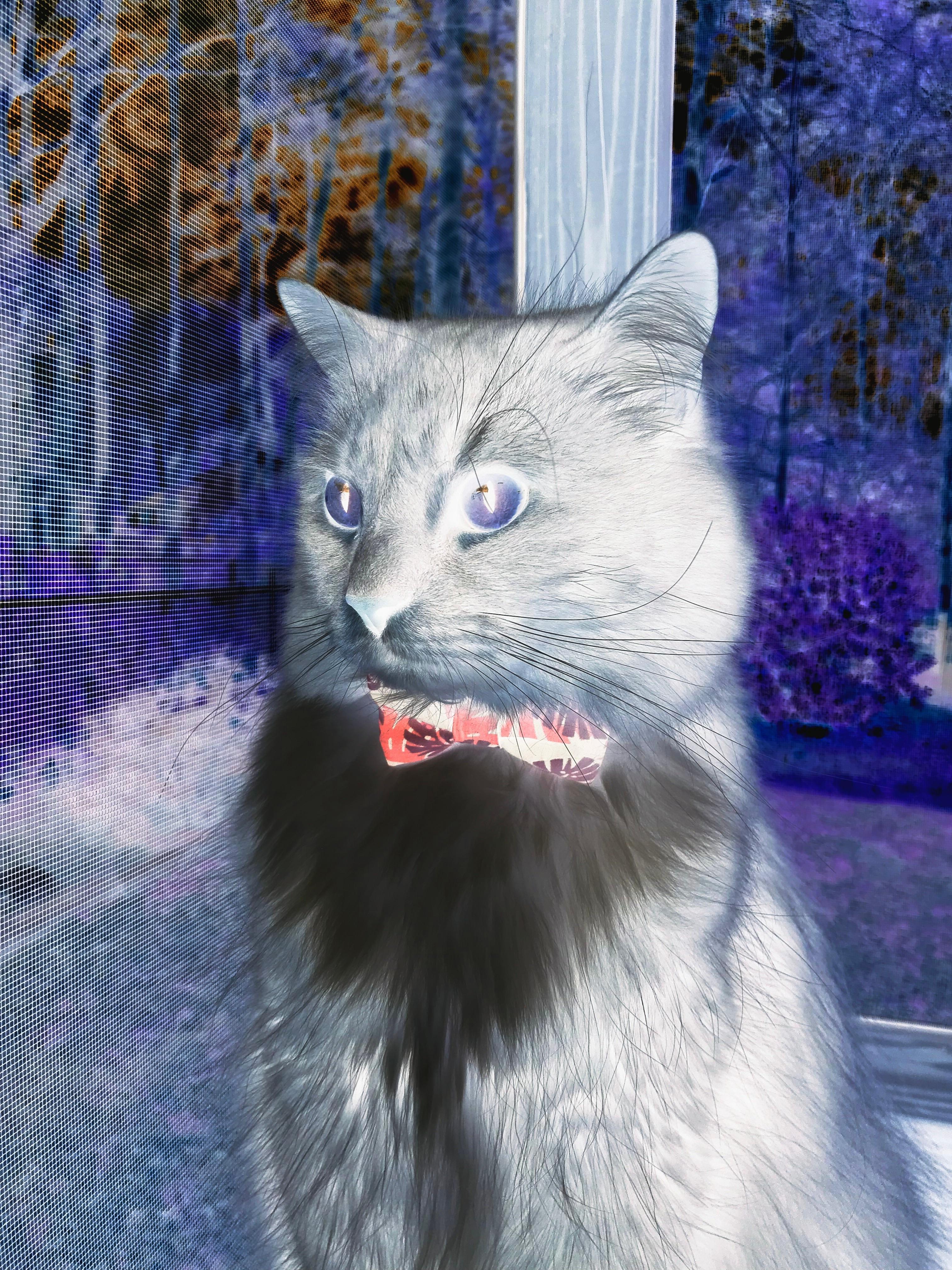 德甲球队政策调整，未来值得期待，德甲政策50+1