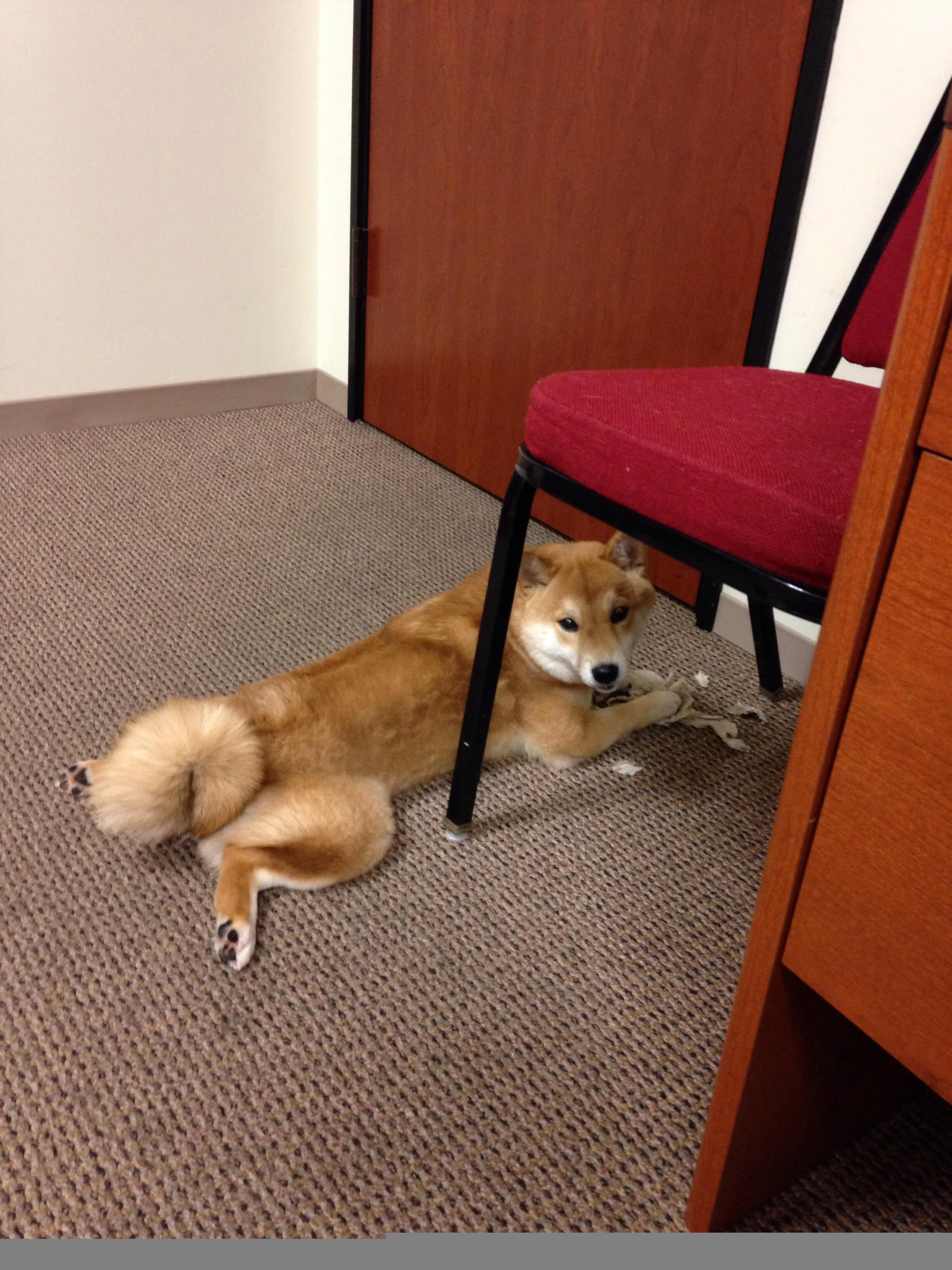 开云竞猜官网-_乔治关键三分定乾坤，快船险胜_，nba乔治集锦