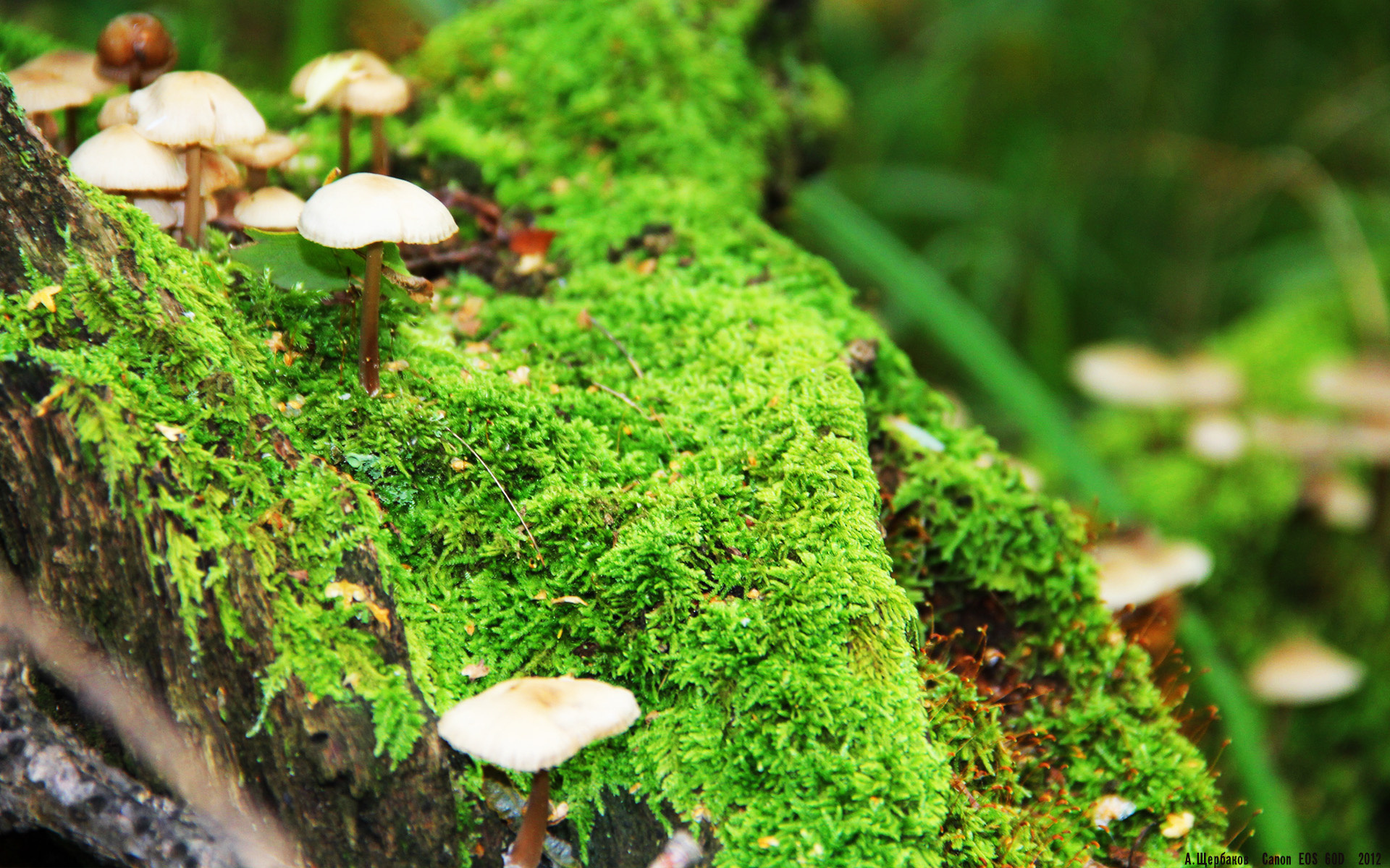 开云体育在线登入-_掘金队士气高涨，攻守两端表现出色_，掘金队现在叫什么