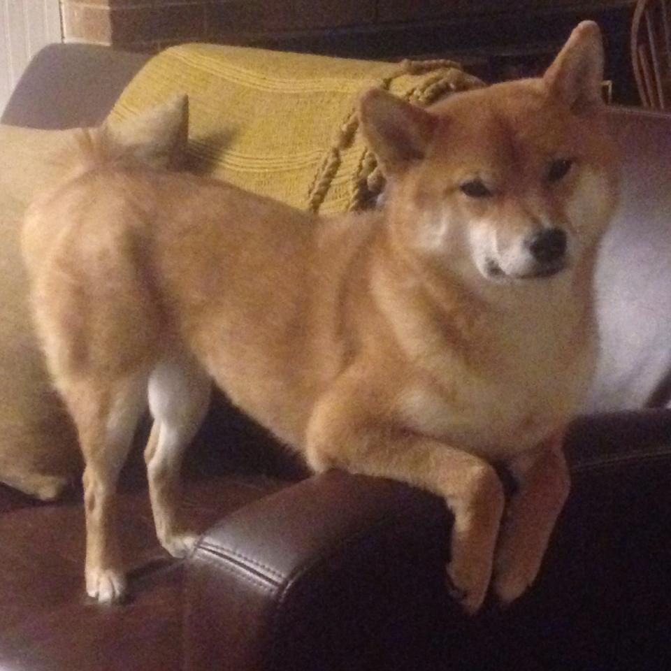 “最震撼的五大瞬间，精彩片段引爆全场”，最震撼的电影片段