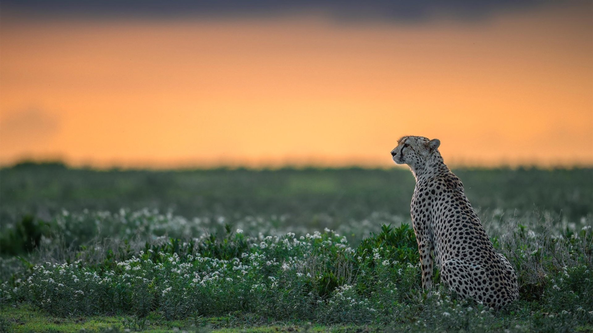 “青春同行”青少年青训合作项目在北京正式启动,推动区域合作战略