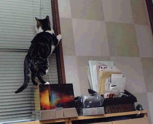 中国举办国际足球友谊赛,增进友谊,足球国际友谊赛是正式比赛吗