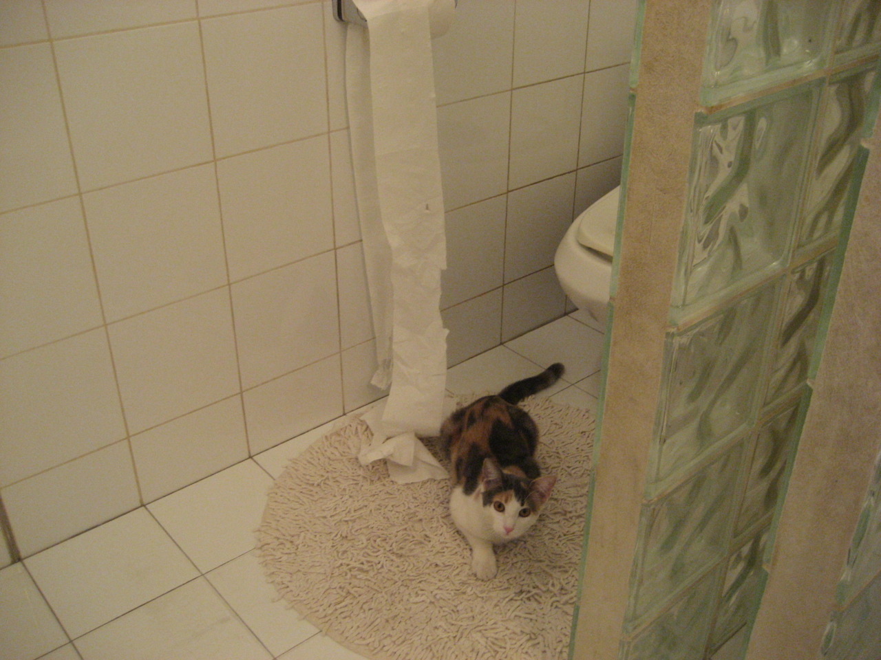 以“体育+科技+文化”为核心的篮球赛事创新模式广泛推广,以篮球为载体